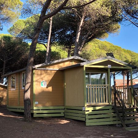 Camping La Tamarissiere 아그 외부 사진