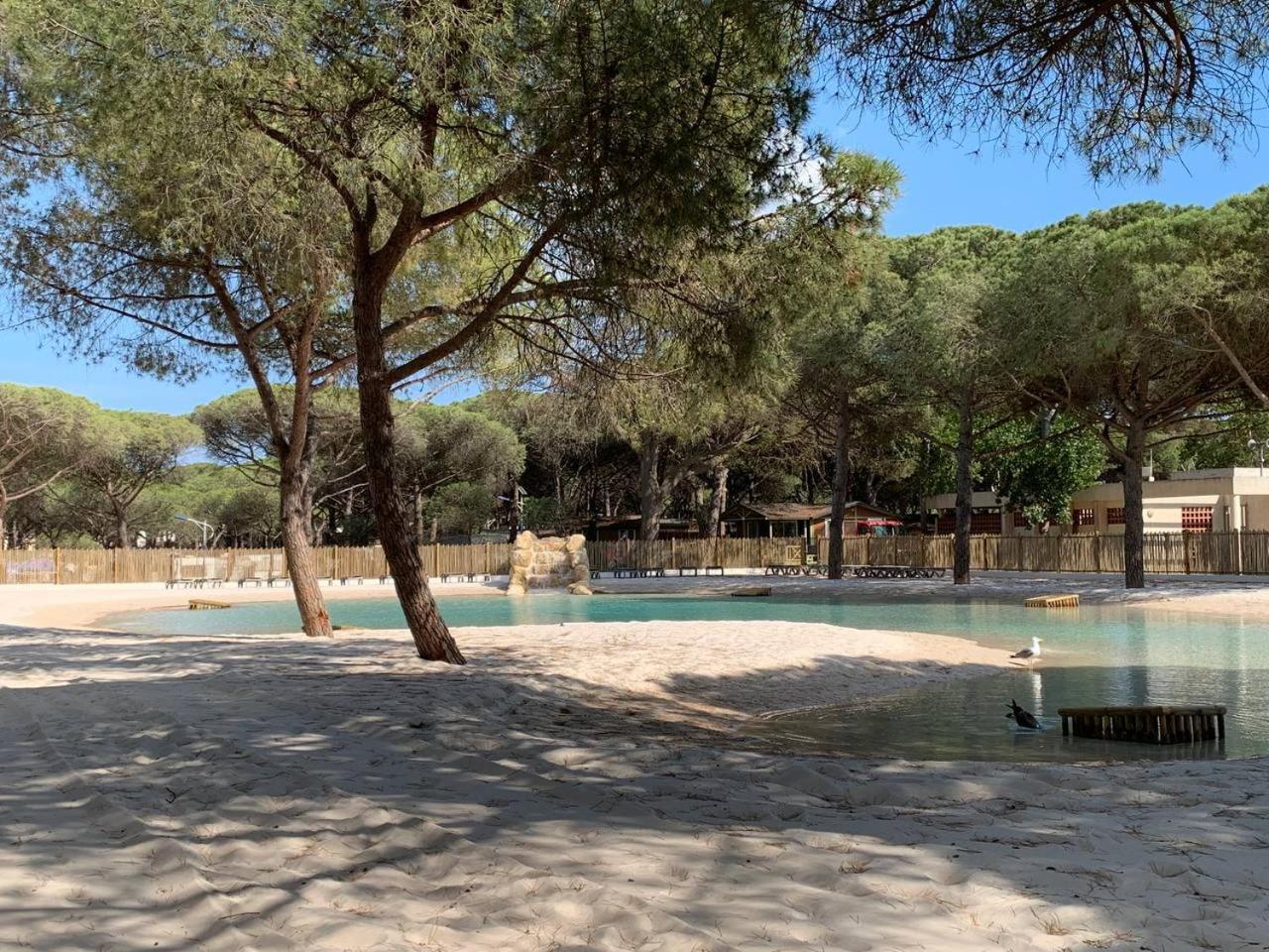 Camping La Tamarissiere 아그 외부 사진